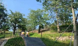 十洲公园爆料视频,美景与奇观尽收眼底