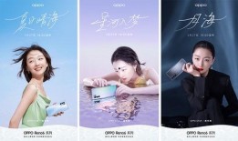 日料半成品爆料流程视频,从爆料视频看美食背后的秘密