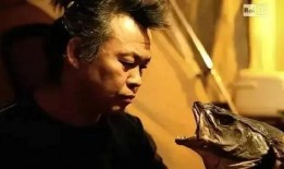 网 金基德在线观看