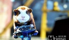 豚鼠电影在线观看,揭秘动物世界的生存法则