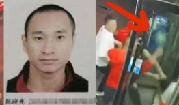 陈继志幕后爆料视频最新,揭秘事件真相与背后黑幕