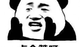 娱乐吃瓜娃子酱,揭秘娱乐圈幕后故事