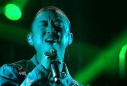 歌手2024娱乐圈吃瓜,娱乐圈风云再起，吃瓜群众狂欢盛宴