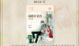 娱乐圈吃瓜年鉴小说,揭秘年度吃瓜大事件