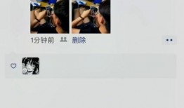 网恋失败爆料视频完整版,揭秘网络爱情的真相与教训