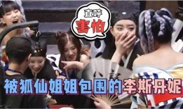 爆料狐仙的视频大全,视频大全中的神秘故事集锦