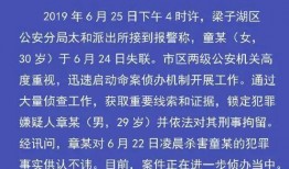 澎湃新闻热线爆料地址,揭秘背后故事