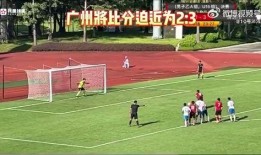 辽宁爆料假球视频最新,揭秘假球视频，足球界风云再起