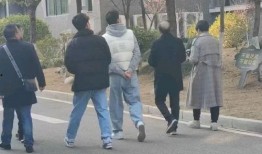 吃瓜网红事件最新高密,揭秘网络舆论背后的真相与争议