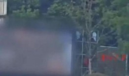 狮岭镇新闻爆料事件视频,真相与争议交织