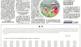 鹤山市爆料新闻最新,最新爆料揭示惊人真相