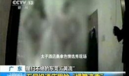 在线观看成人视频,在线观看现象背后的真相与反思