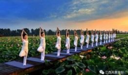 莲花县今日爆料,揭秘当地热点事件背后的真相