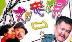 刘老根2在线观看,笑料百出，重温东北风情