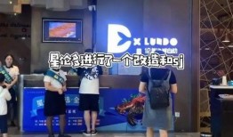 餐饮黑科技爆料案例视频,创新案例视频深度解析