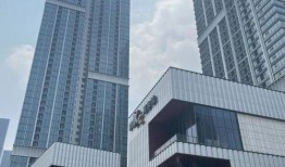 郑东万象城爆料最新消息,揭秘神秘项目即将盛大启幕！