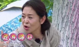 倪萍爆料抠门事件视频,娱乐圈背后的真实一面
