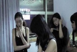 在线观看成人视频,在线观看现象背后的真相与反思