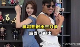 衡阳爆料主播事件视频播放,视频播放引发社会关注