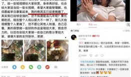 刘二狗大事件爆料视频,揭秘网络红人幕后真相
