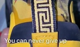 韦德之道九最新爆料