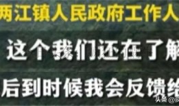 天涯最狠失信人爆料视频,视频爆料揭露惊人内幕