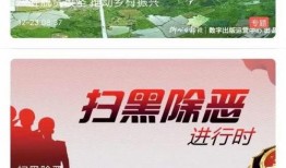 今日即墨爆料新闻视频播放,视频揭示惊人事件，引网友热议！