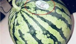 永康网红吃瓜,揭秘幕后故事与热门话题
