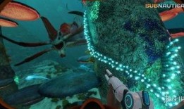 深海迷航爆料视频大全,揭秘神秘海洋探险视频集锦