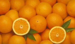 娱乐吃瓜橘子视频大全,全网热门娱乐吃瓜橘子视频大盘点