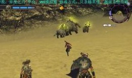 青年雷利爆料普攻视频,揭秘海贼王世界中的神秘力量