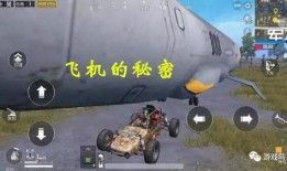 吃鸡新蹦蹦车的视频爆料,速度与激情，战场新宠来袭！
