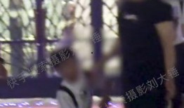 刘大锤最新爆料家暴视频,最新家暴视频曝光，真相令人震惊！