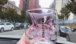 冰霸杯网友爆料视频,精彩瞬间与幕后故事