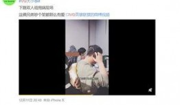 晨曦爆料视频解说,揭秘事件背后真相