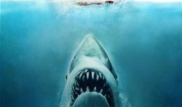 超级鲨鱼在线观看,深海奇遇记