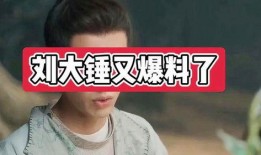 刘大锤早期爆料视频