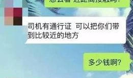 cs2通行证最新爆料,揭秘神秘内容与未来更新动向